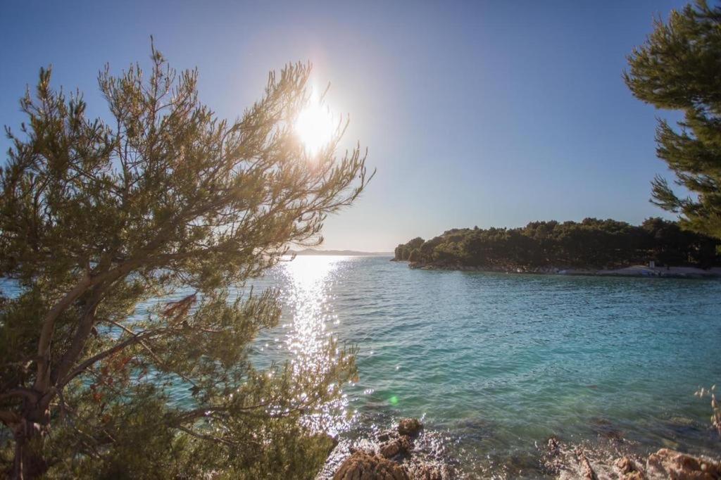Mara'S Coast - Dalia Villa Drage Kültér fotó